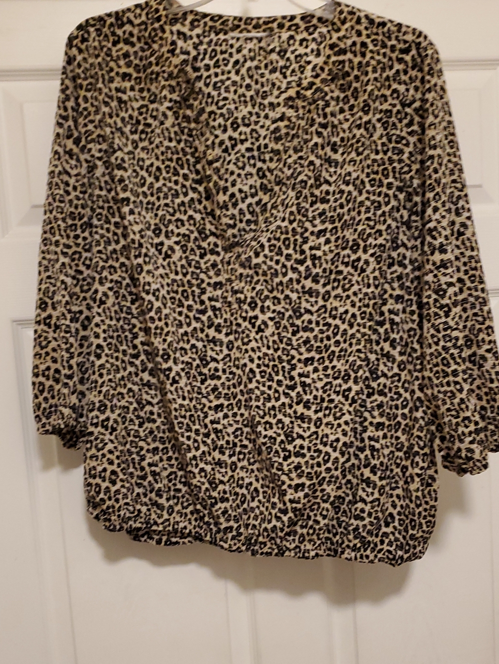 Leopard Print V-Neck Blouse in Beige/Black